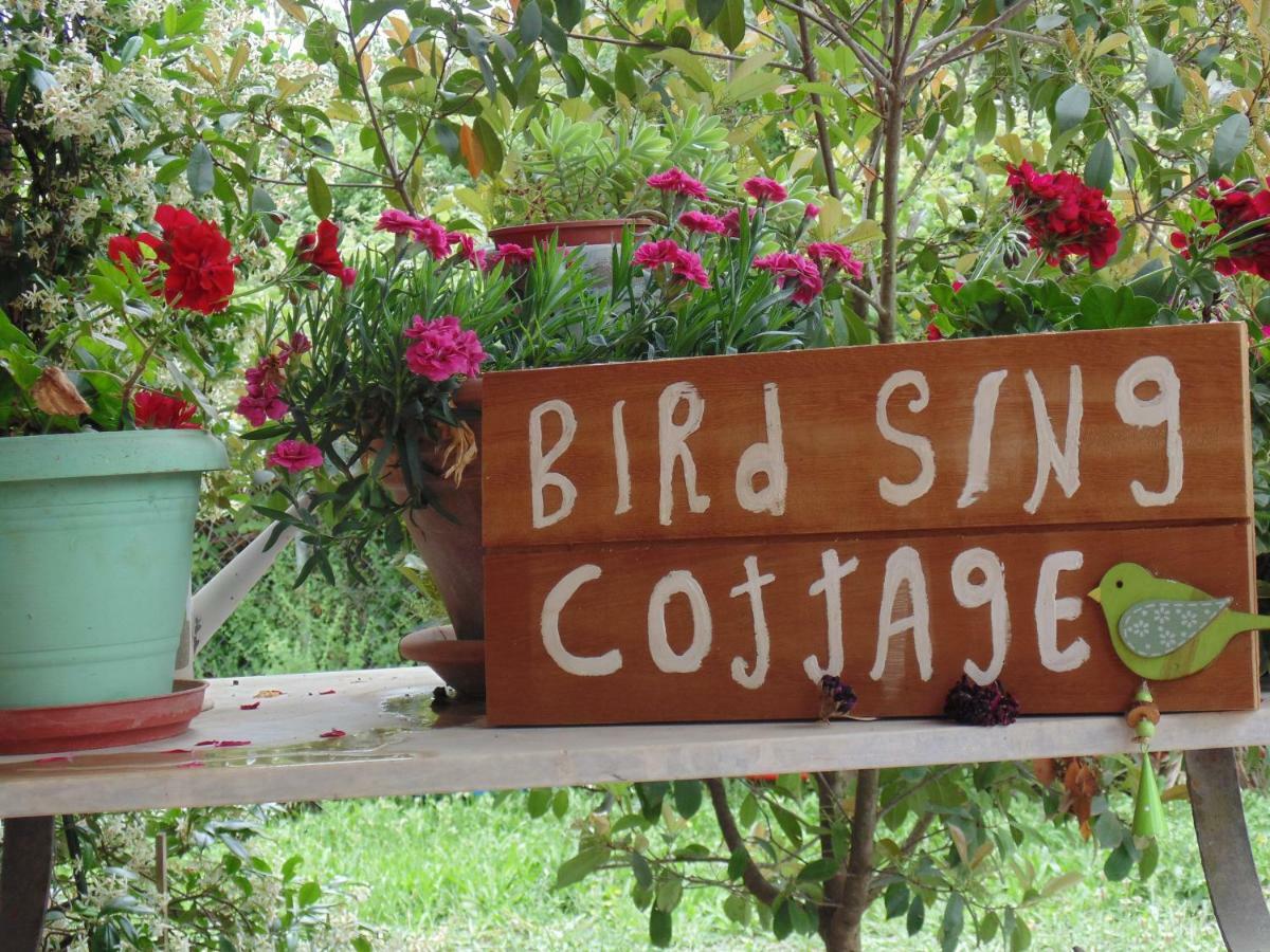 Birdsing Cottage 达西亚 外观 照片