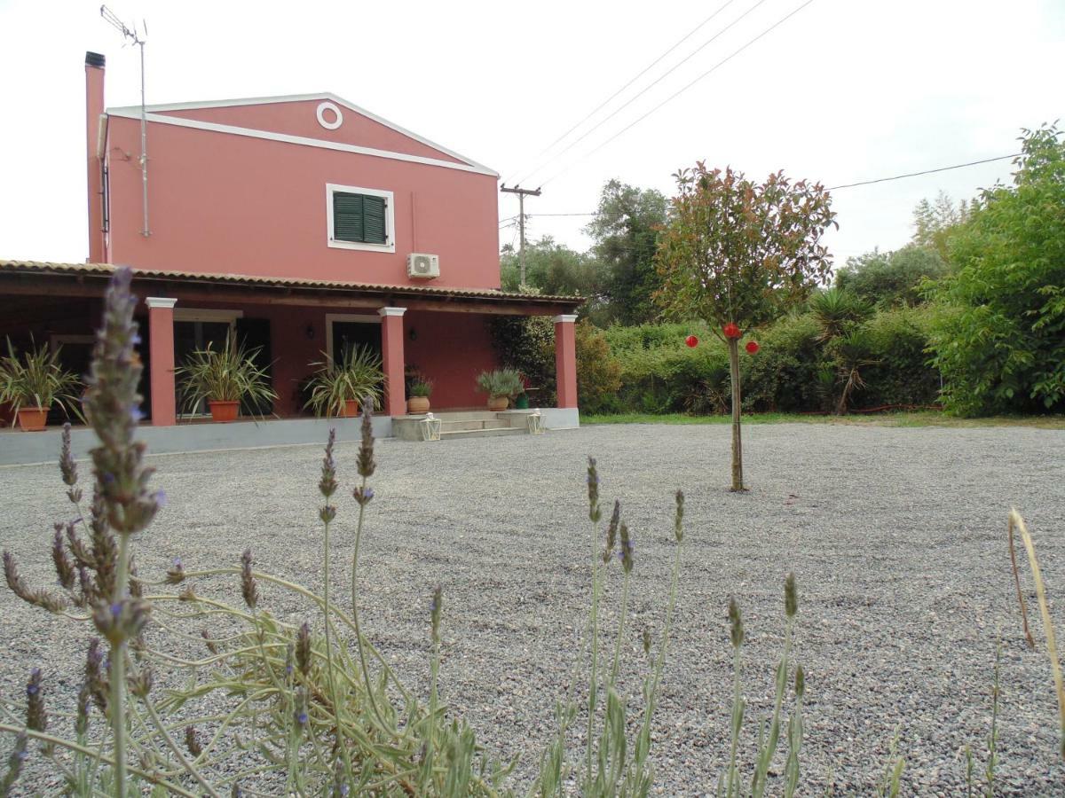 Birdsing Cottage 达西亚 外观 照片
